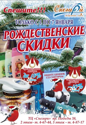 Юрга. «Снегири»