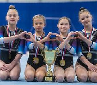 Итоги чемпионата и первенства СФО по спортивной гинастике