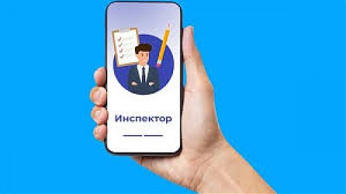 Мобильное приложение «Инспектор»: польза, как скачать