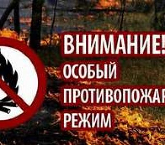 Особый противопожарный режим в Кузбассе: требования, запреты, штрафные санкции   