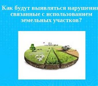 Росреестр Кузбасса: о контроле использования земель