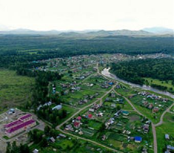 «Лесная амнистия» в Кузбассе  