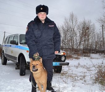 Участковый усмирил и приютил агрессивную бездомную собаку