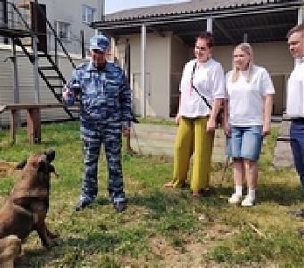 Гражданский мониторинг: проверка работы кинологической группы