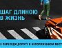 Соблюдая ПДД, сохраняешь жизнь!