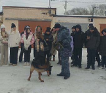 Узнать больше о работе сотрудников ОВД