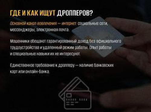 МВД России предупреждает об уголовной ответственности за дропперство 