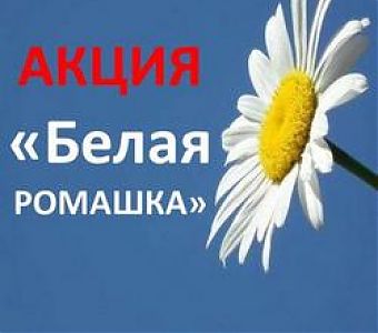 Кузбассовцы могут пройти бесплатное обследование в рамках акции «Белая ромашка».