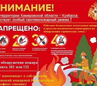 Особый противопожарный режим в Кузбассе: что запрещается, штрафы