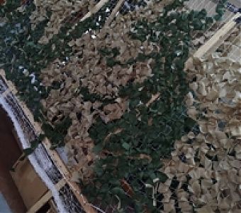 «Своих не бросаем»: судебные приставы Кузбасса поддерживают участников СВО
