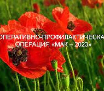 Операция «Мак-2023»: уничтожить посевы, пресечь правонарушения