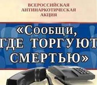 Сообщи, где торгуют смертью!