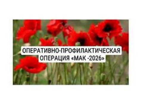 Мак-2026: выбирай жизнь, скажи 