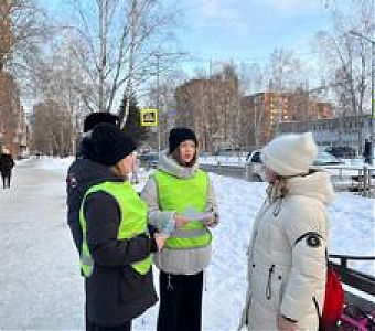 Переходи дорогу правильно!