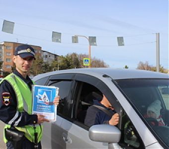 Остановись, пропусти пешехода!