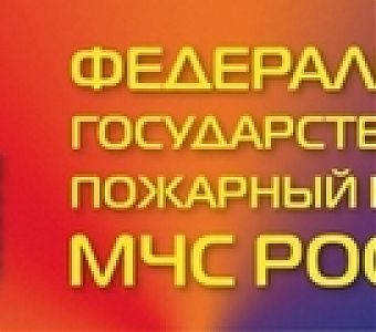 Государственному пожарному надзору МЧС России исполняется 95 лет