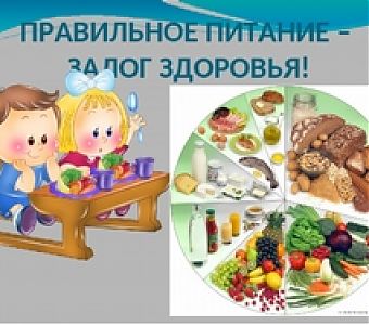 Правильное питание – ключ к здоровью и успеху ребенка