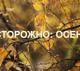 Осторожно: осень! 