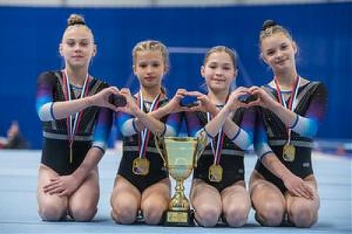 Итоги чемпионата и первенства СФО по спортивной гинастике