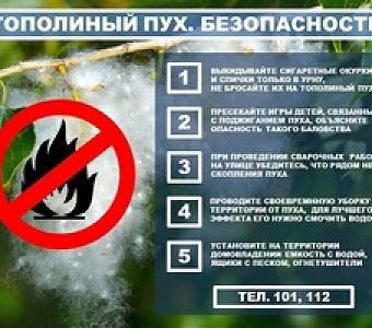 О пожарной безопасности в период цветения тополей