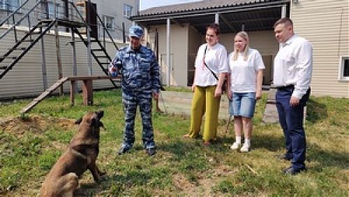 Гражданский мониторинг: проверка работы кинологической группы