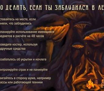 Как не потеряться в лесу?