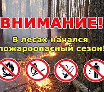 Что нельзя делать в лесу в пожароопасный период?