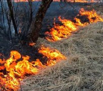 Особый противопожарный режим: что запрещается