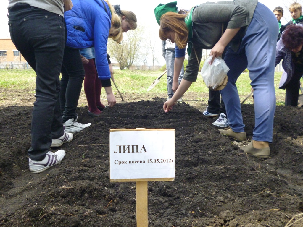 ЮГС: Зимниковская школа выращивает лес